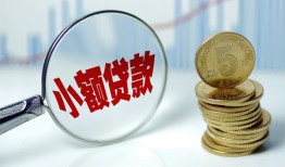 成都13哪里可以小额贷款-成都13哪里有民间借贷-成都13民间短期私借借款